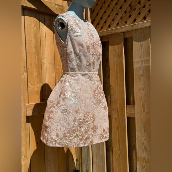 🆕 BRONX & BANCO 🧿 NWOT Violet Mini Dress, Gold & Champagne Sequin - Sz L US 8 - Picture 9 of 15